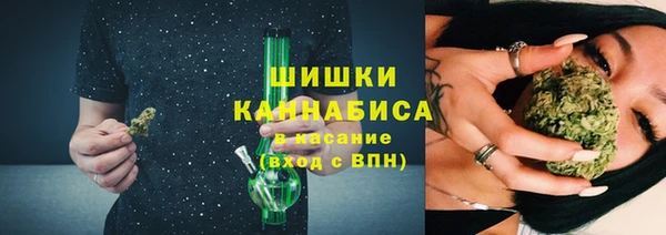 мдпв Кукмор
