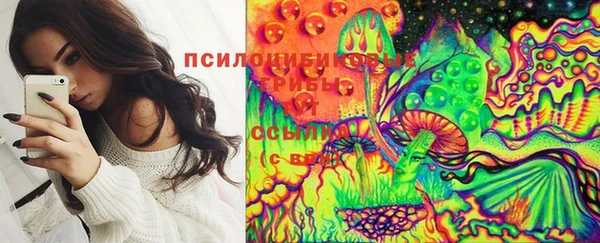 гидропоника Куйбышев
