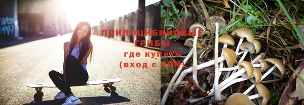 тгк Абдулино