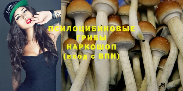 тгк Абдулино