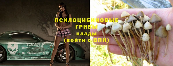 мдпв Кукмор