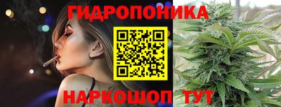 гидропоника Кунгур